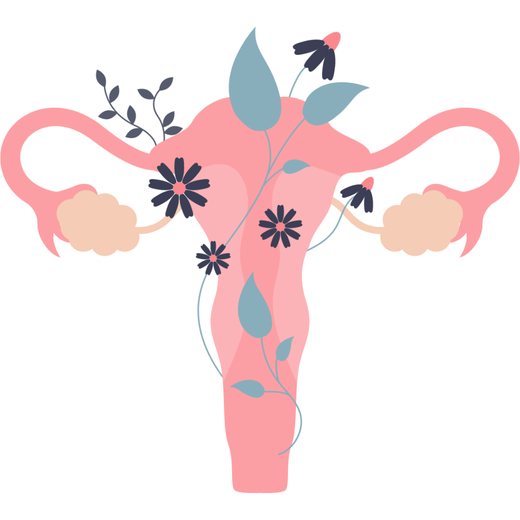 uterus, PCOD, PCOS